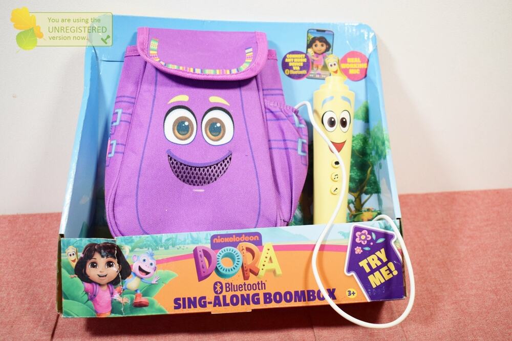 Dora Sing-Along Boombox Playset